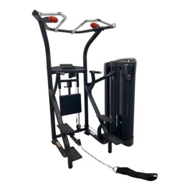 Inspire Dual station Chin-Up