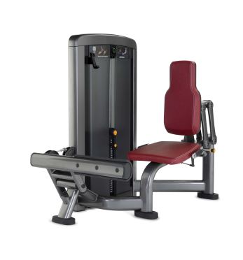 Life Fitness Insignia series calf extension 