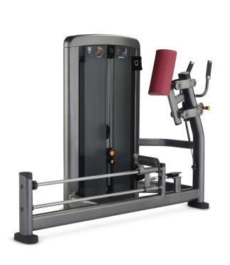 Life Fitness Insignia glute 