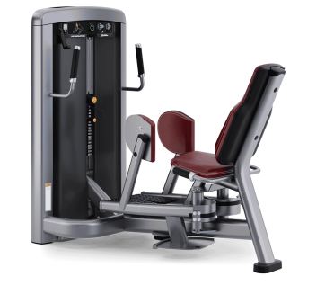 Life Fitness Insignia series sit/stand hip abductor 