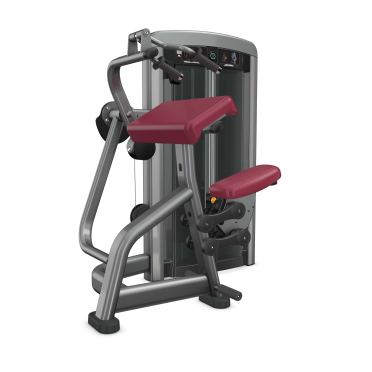 Life Fitness Insignia series tricep extension 