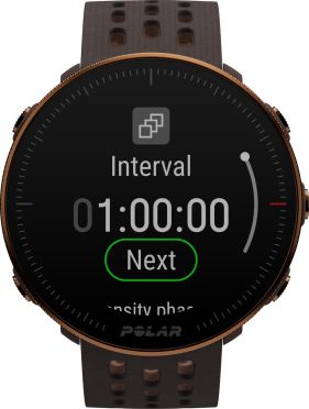 Polar Vantage M2 Kupfer/Braun