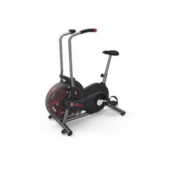 Schwinn Airdyne AD2 HIIT Heimtrainer 