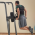 Body-Solid Fusion Vertical knee raise Power Tower  KFCD