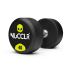 NUCCLR PU dumbbell set 32.5-40 KG  NUC1025-SET-32.5-40