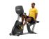 Cybex 625R Liegeergometer LED console  625R-LED